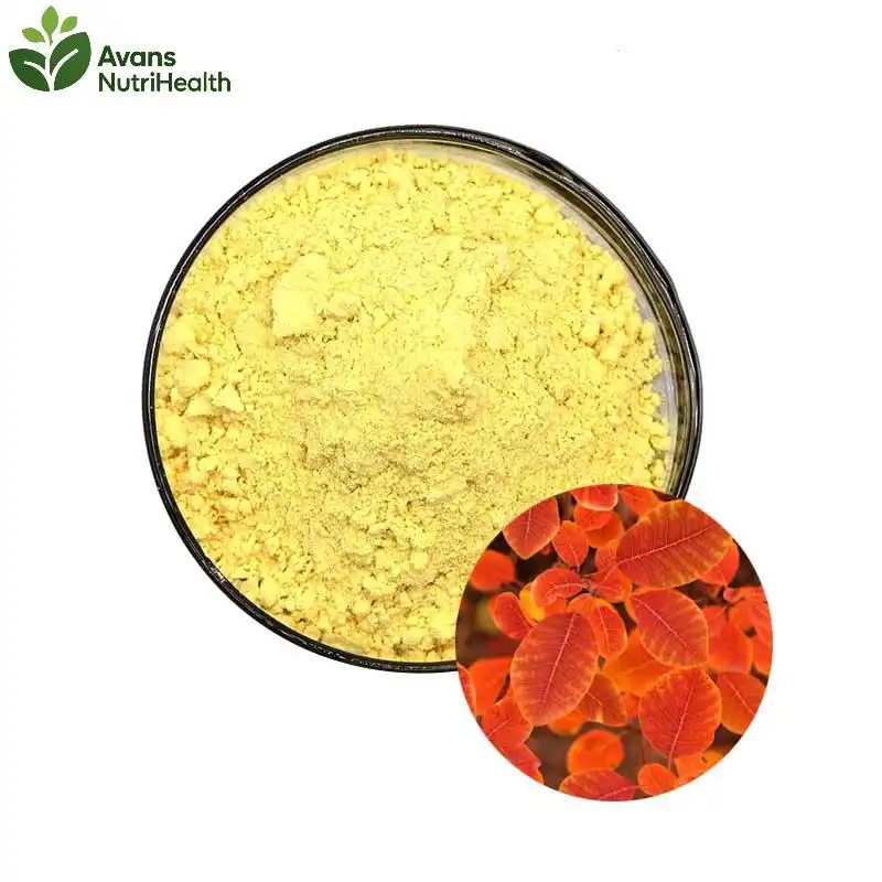Fisetin Powder Bulk Price: Supply Chain Impact